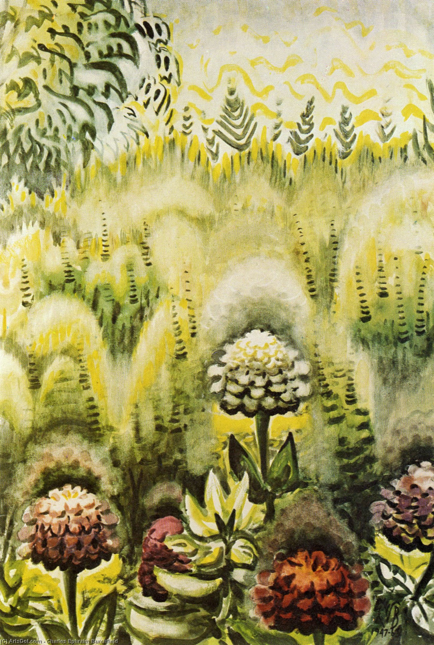 Zinnias — Čarls Burčfild