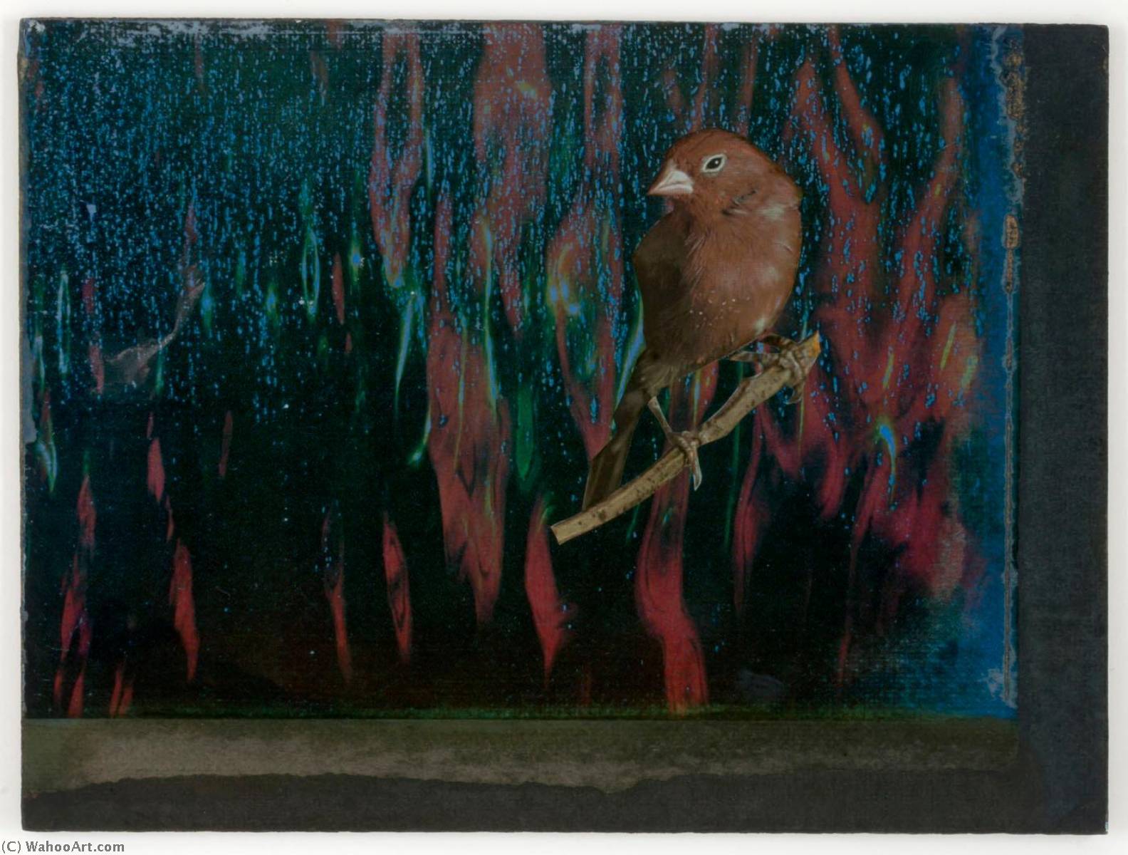 Untitled (red And Blue Water Reflections) — Joseph Cornell
