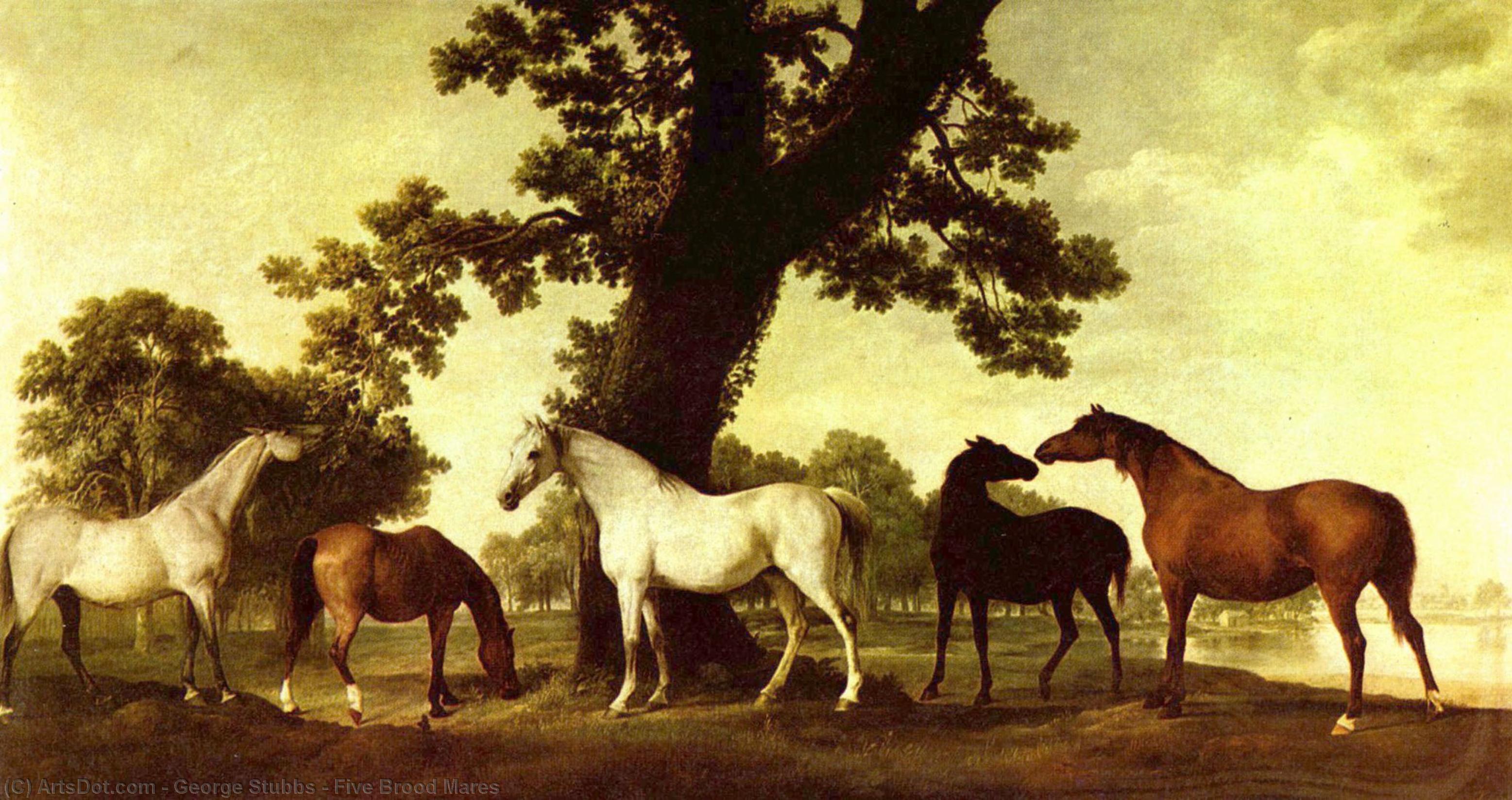 Five Brood Mares — Джордж Стббс
