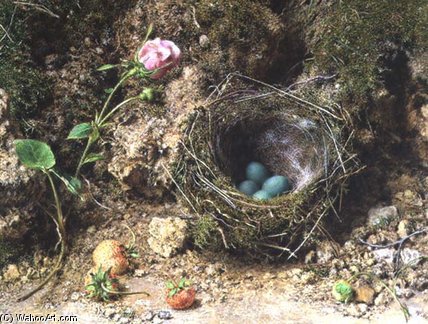 Still Life With Bird's Nest — William Henry Hunt