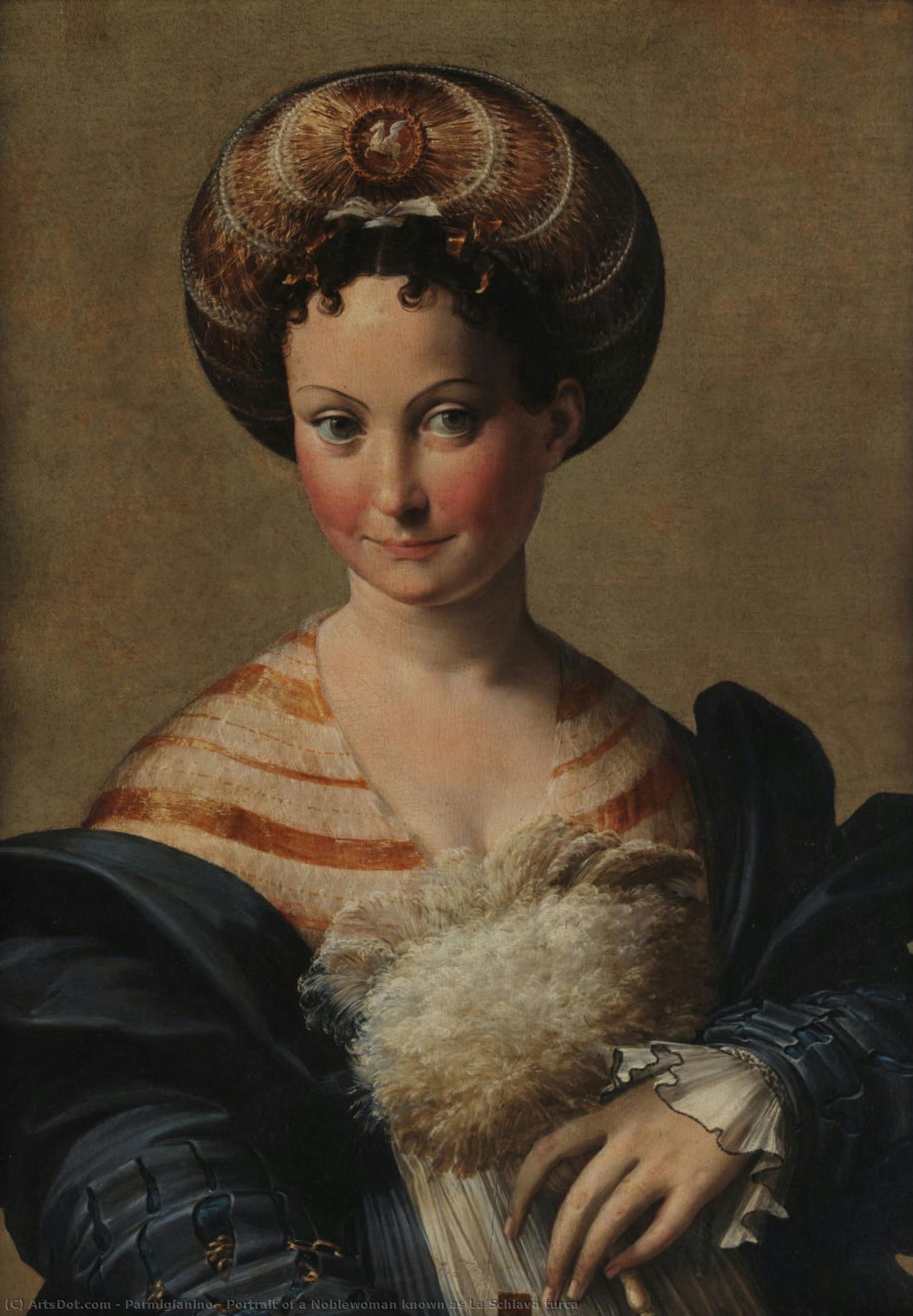 Portrait Of A Noblewoman Known As La Schiava Turca — Пармиђанино