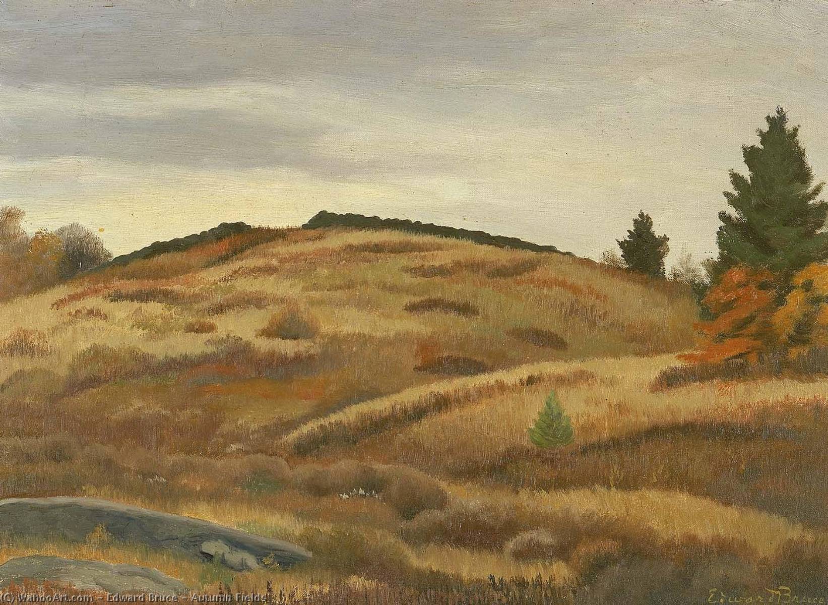 Autumn Fields — Edward Bruce