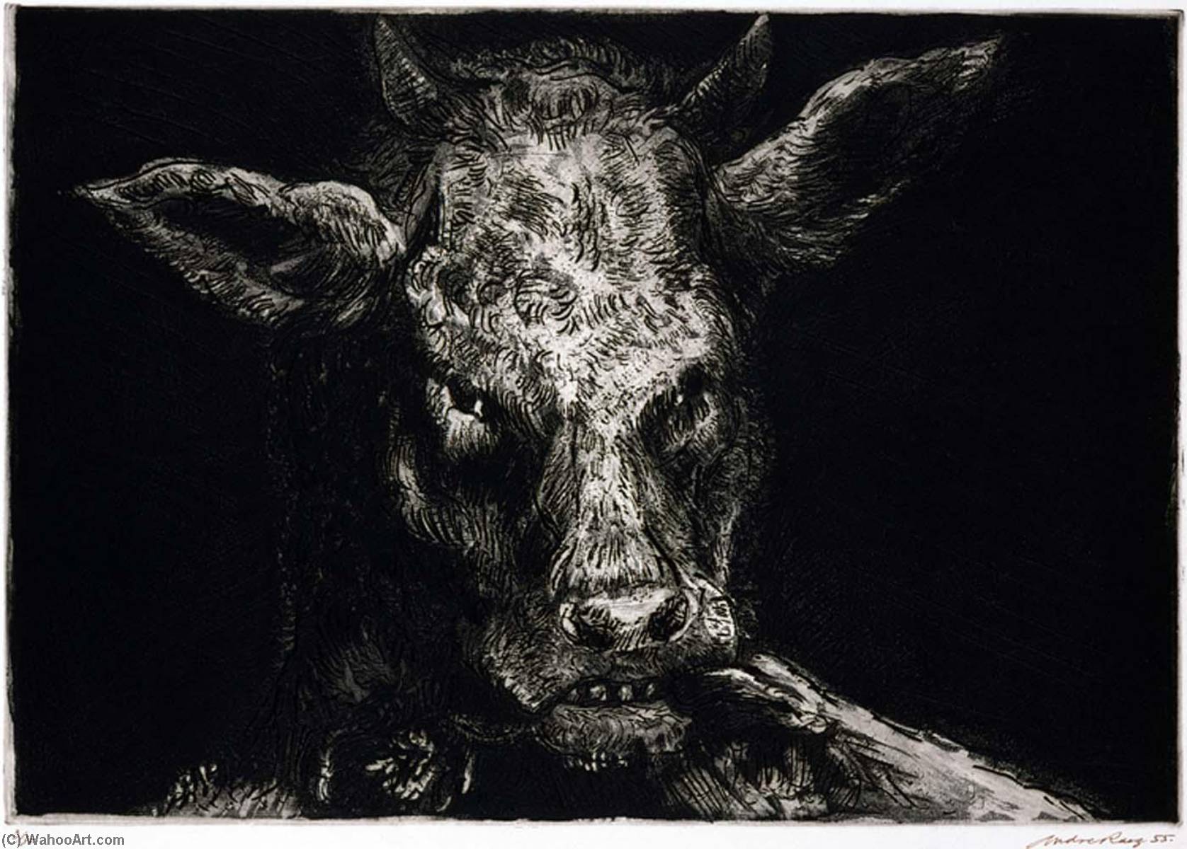 Untitled — Andre Racz