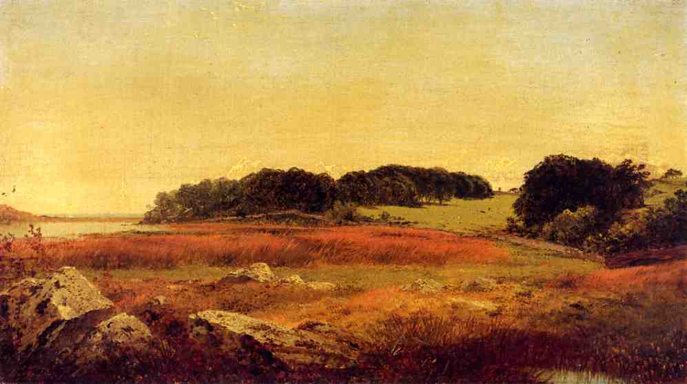 Lily Pond, Newport, Rhode Island — John Frederick Kensett