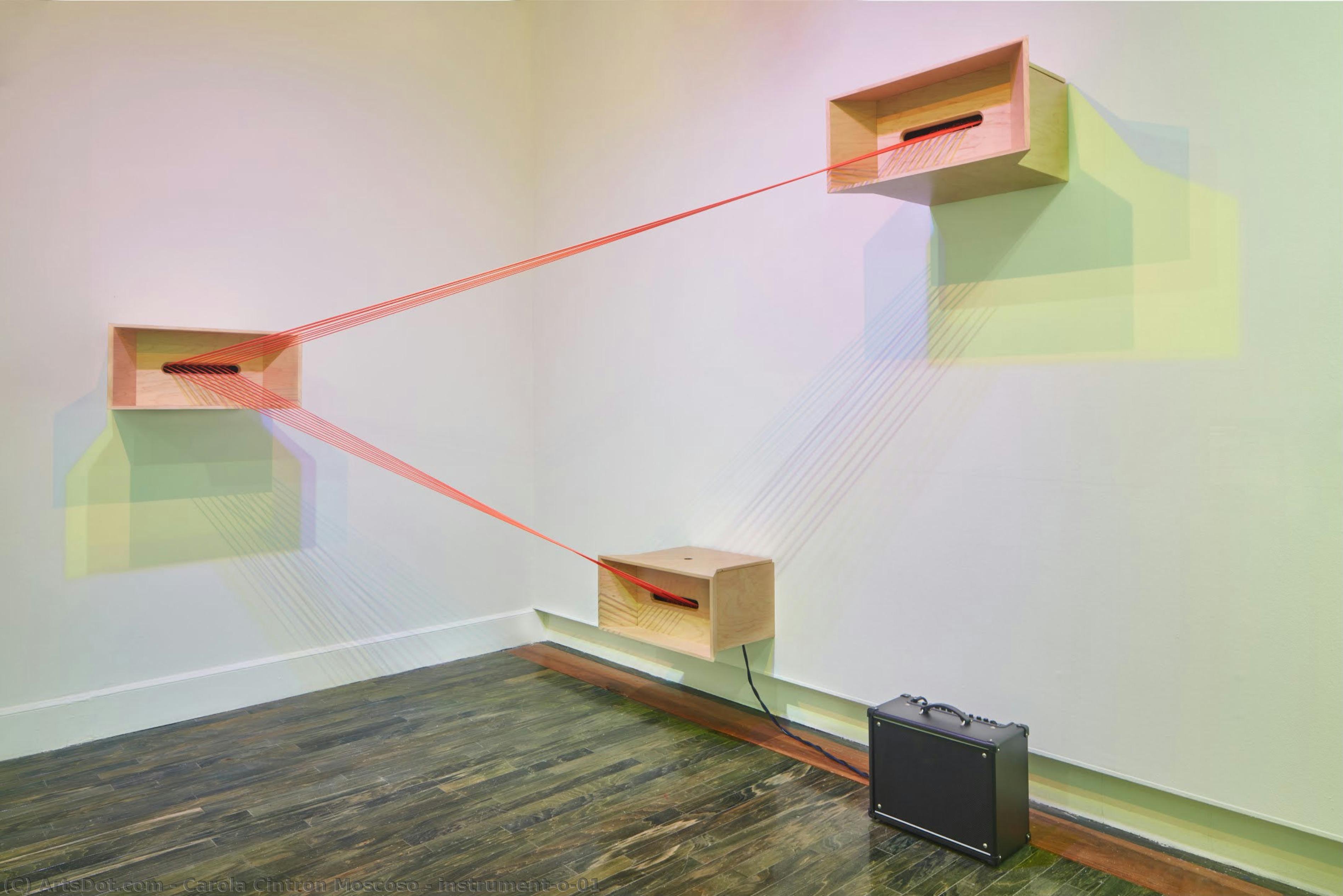 Instrument(o)01 — Carola Cintrón Moscoso
