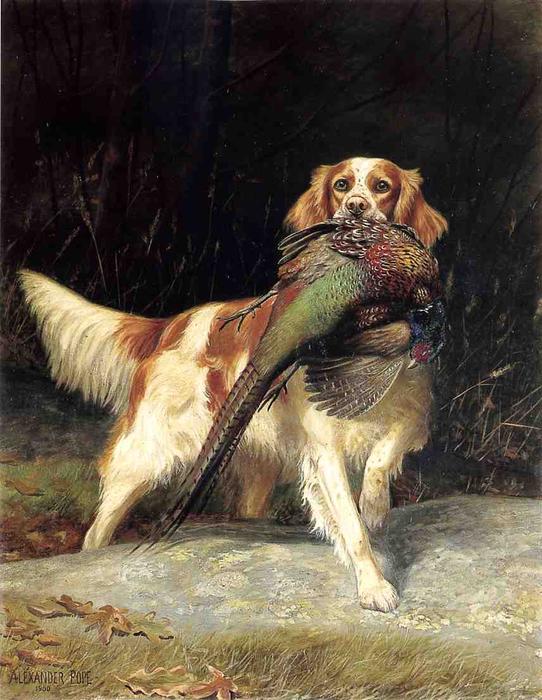 Springer Spaniel With Pheasant — Alexander Pope