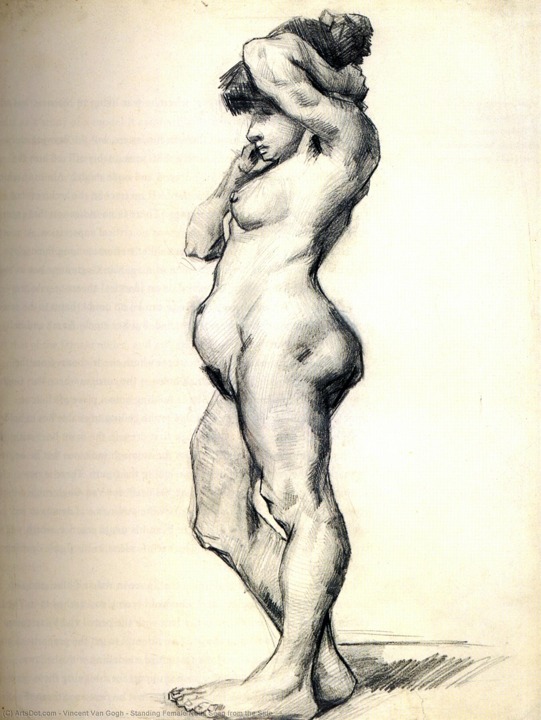 Standing Female Nude Seen From The Side — Vincent Willem Van Gogh