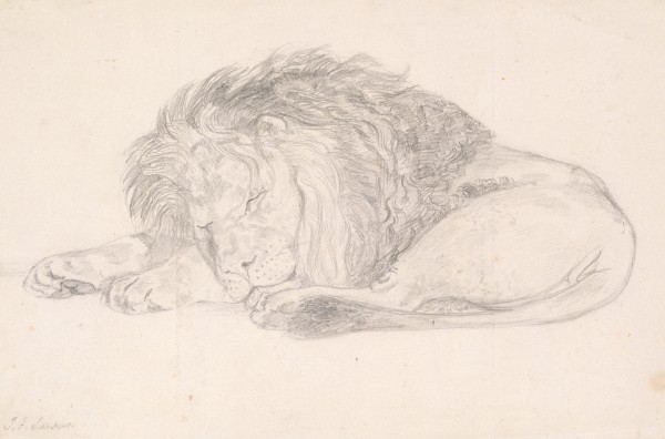 A Sleeping Lion — Джон Фредрик Ливз