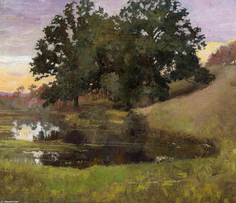 Hillside Pool — Artur Vesli Do