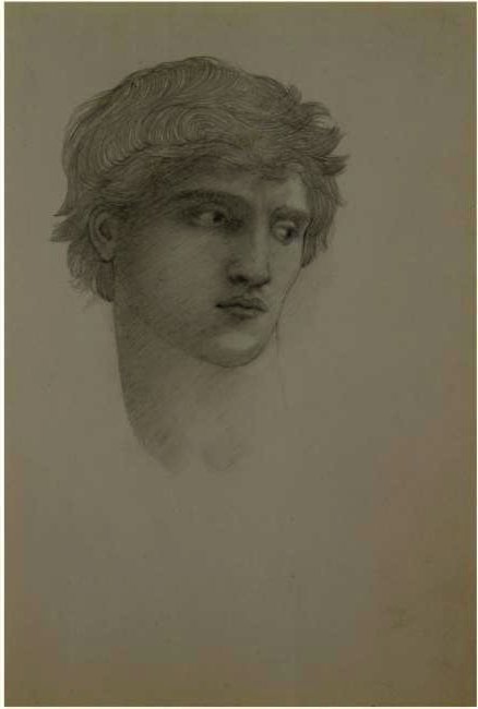 Study For Head Of Perseus In The Rock Of Doom — Edward Coley Burne-jones