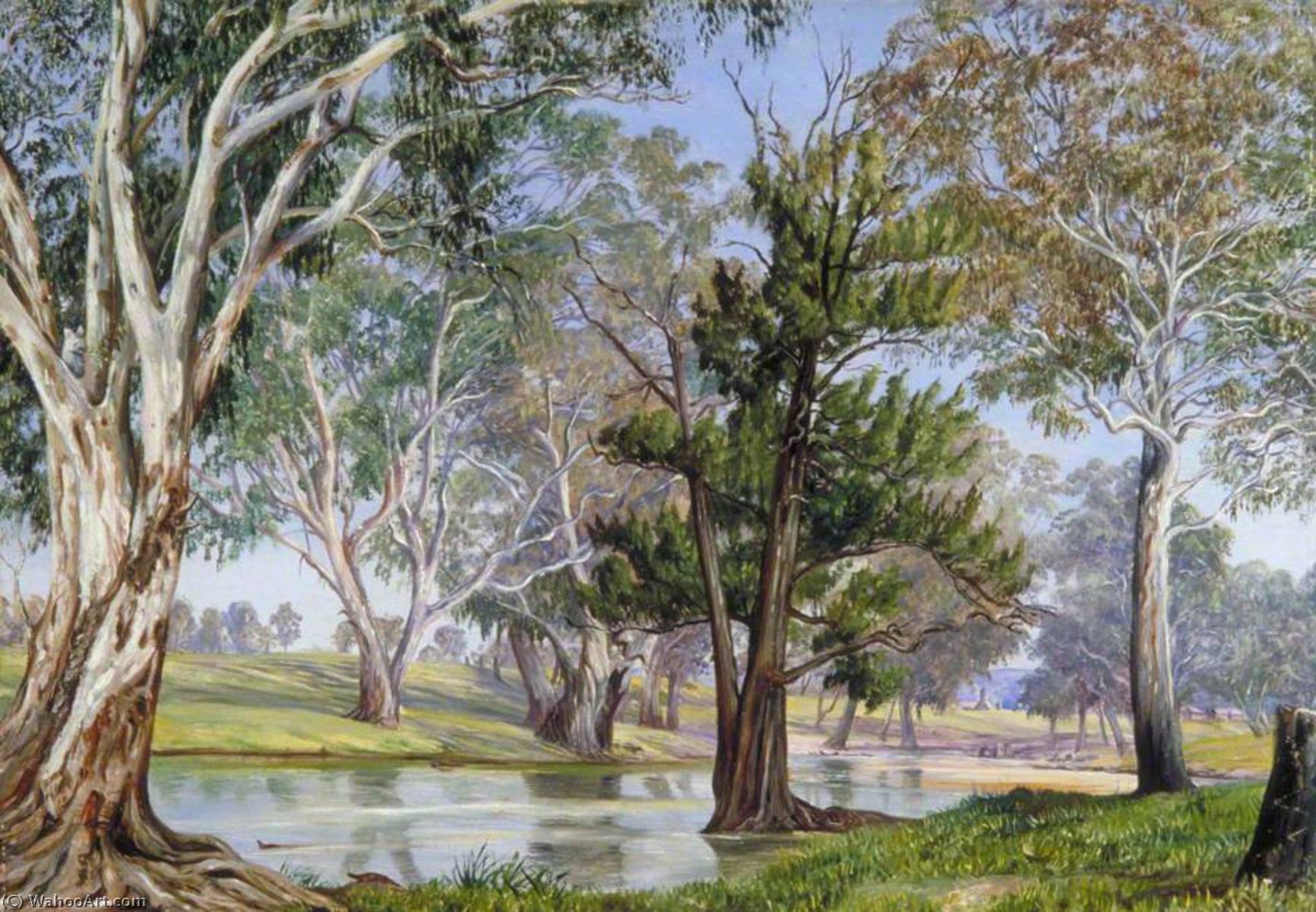 Vida Vegetal Y Animal En Mudgee, Nueva Galesía Del Sur — Marianne North