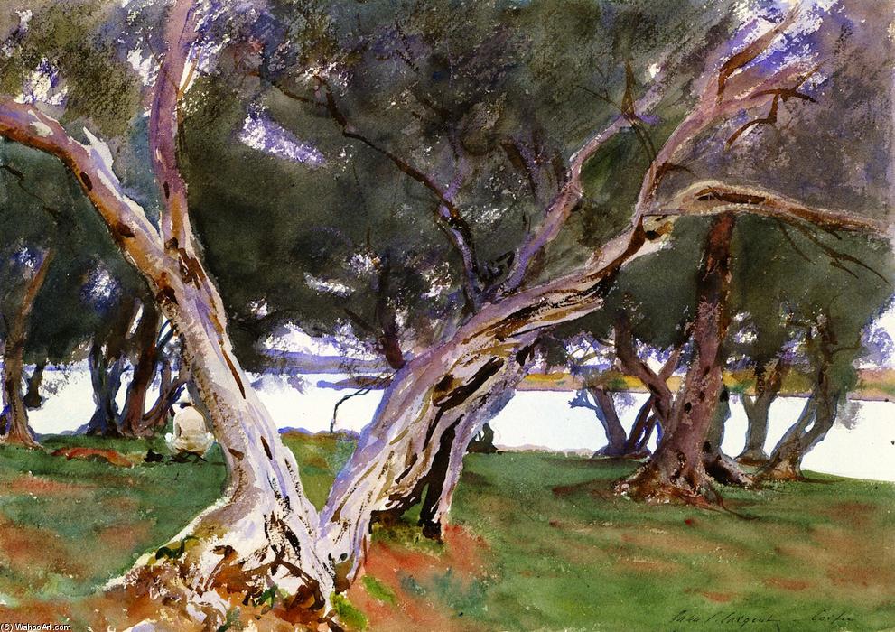 Olive Trees, Corfu — John Singer Sargent