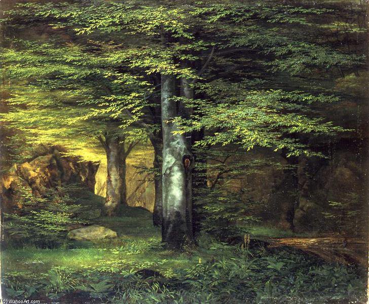 Waldinneres — Эрнст Фердинанд Оэме