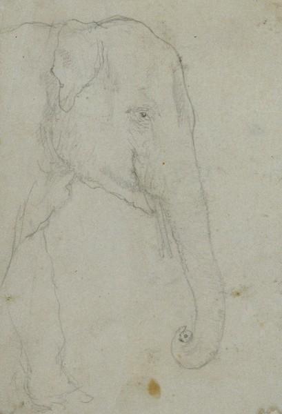 Head And Front Legs Of An Elephant — John Frederick Lewis