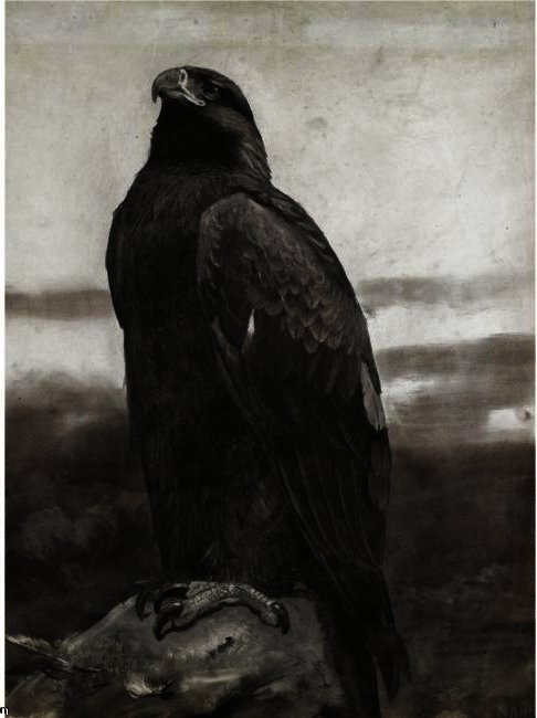 Golden Eagle — Арчибалд Торбурн