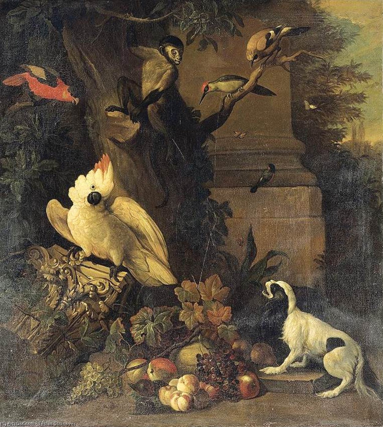 A Monkey, A Dog And Various Birds In A Landscape — Tobias Stranover
