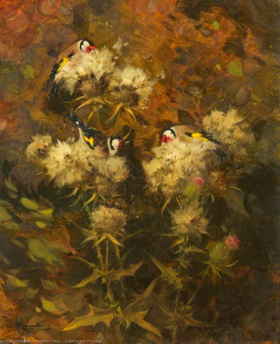 Goldfinches Feeding — Andrew Allan