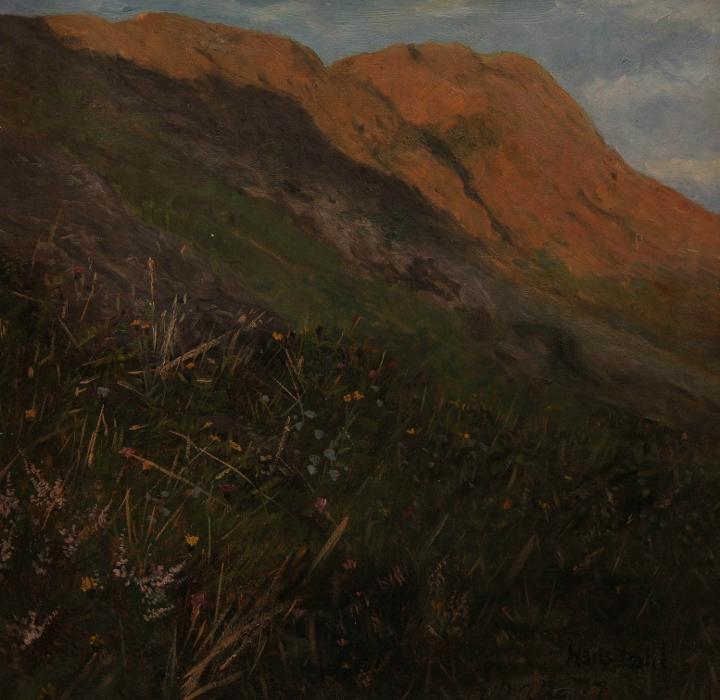 Mountain Landscape With Flowers — Hans Dahl