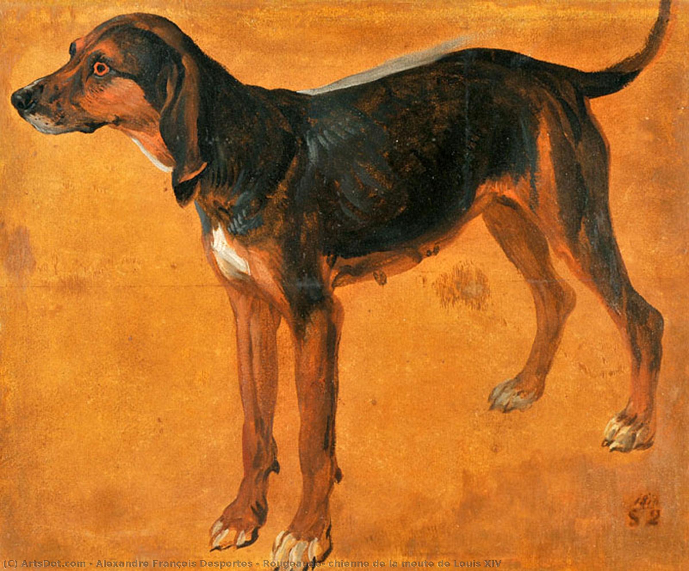 Rougeaude, Chienne De La Meute De Louis Xiv — Aleksandr Fransoa Desport