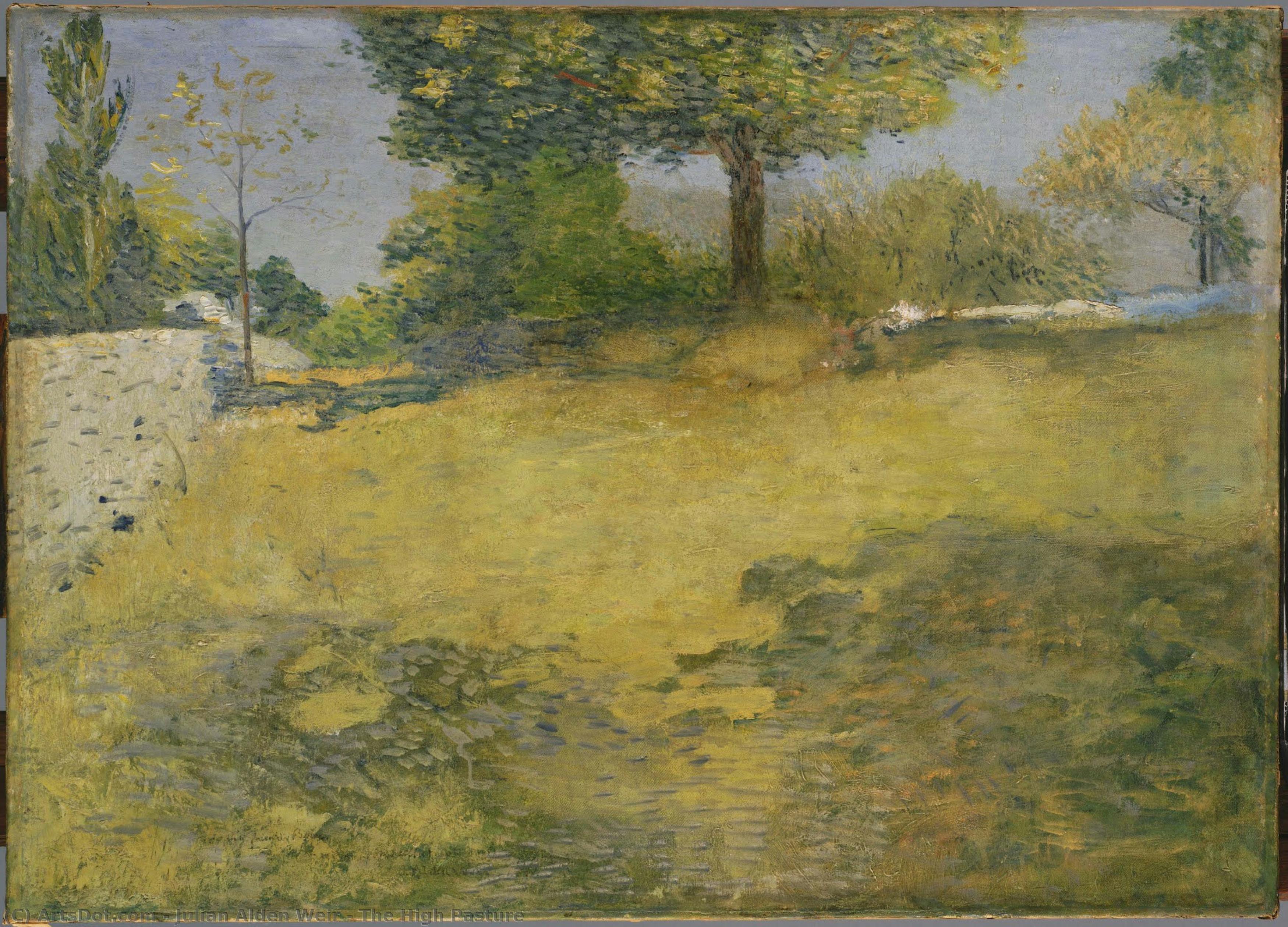 The High Pasture — Julian Alden Weir