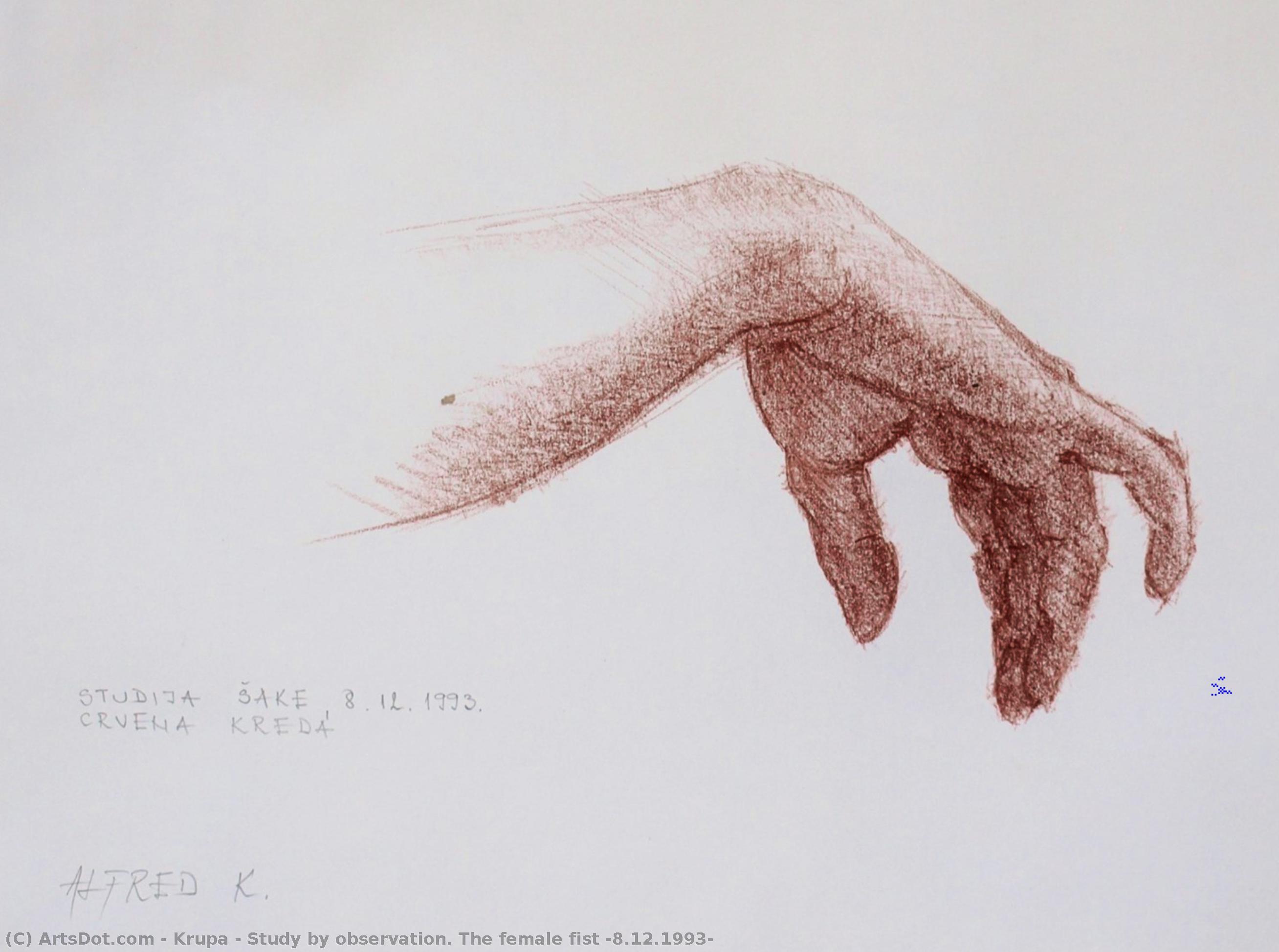 Study By Observation. The Female Fist (8.12.1993) — Alfred Freddy Krupa