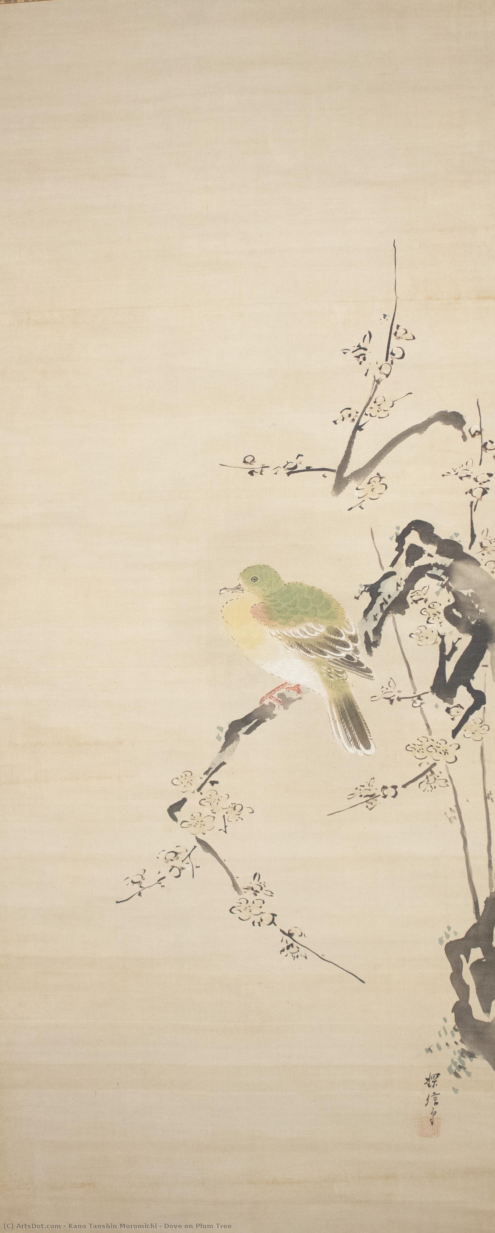 Dove On Plum Tree — Kano Tanshin Moromichi