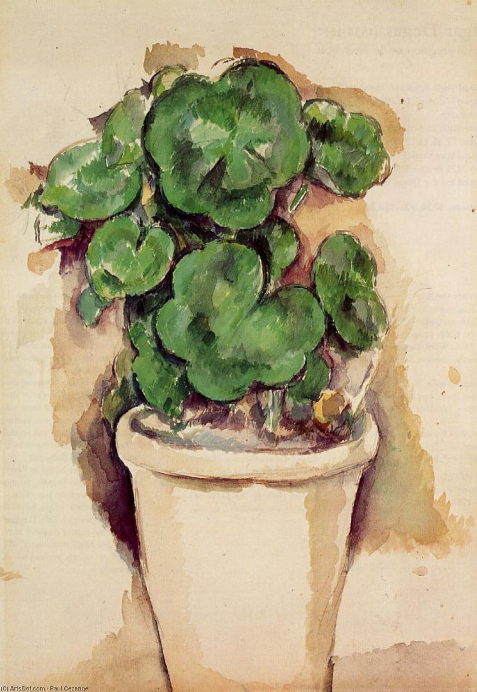 Pot Of Geraniums — Paul Cézanne