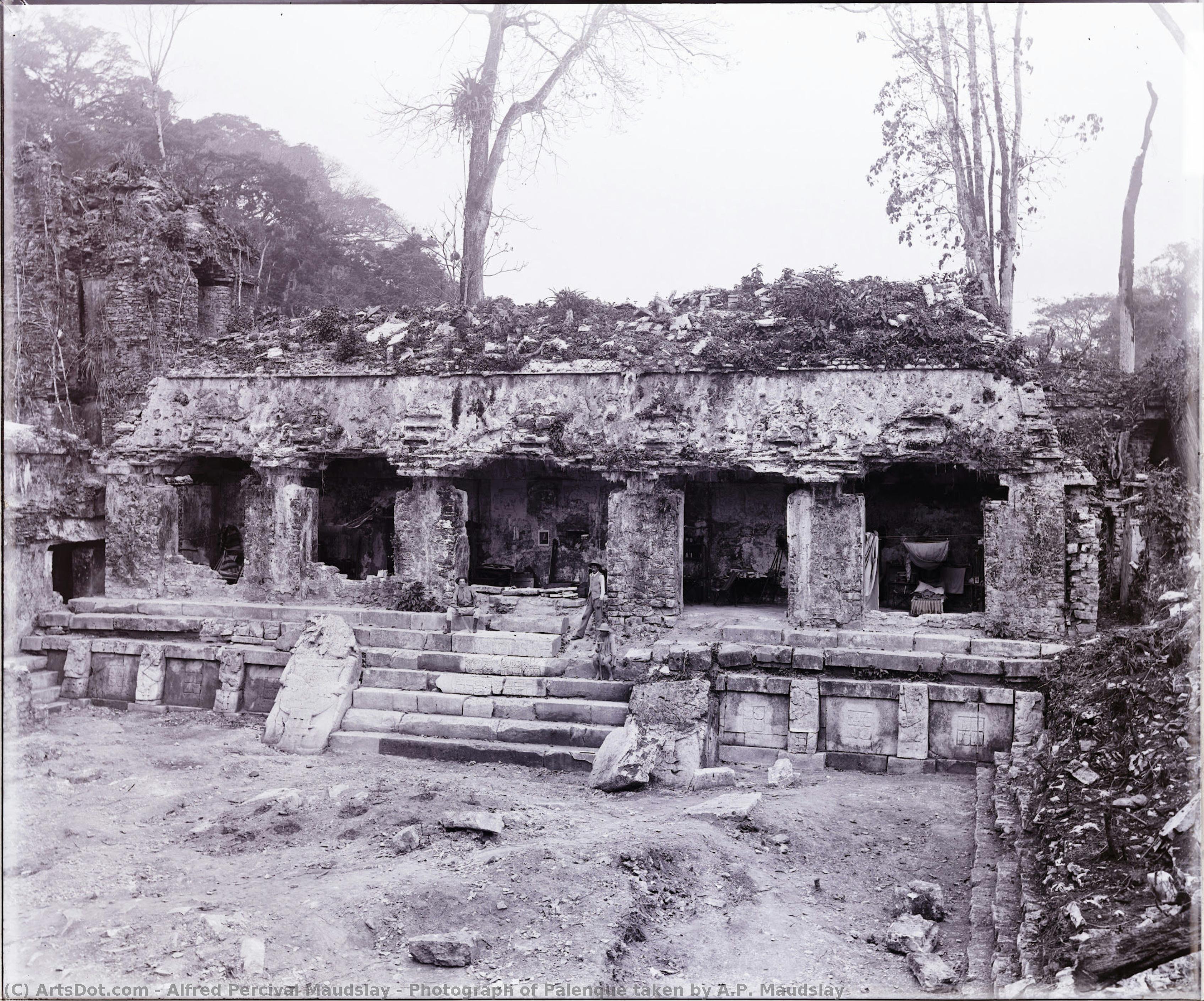Photograph Of Palenque Taken By A.p. Maudslay — Alfred Percival Maudslay