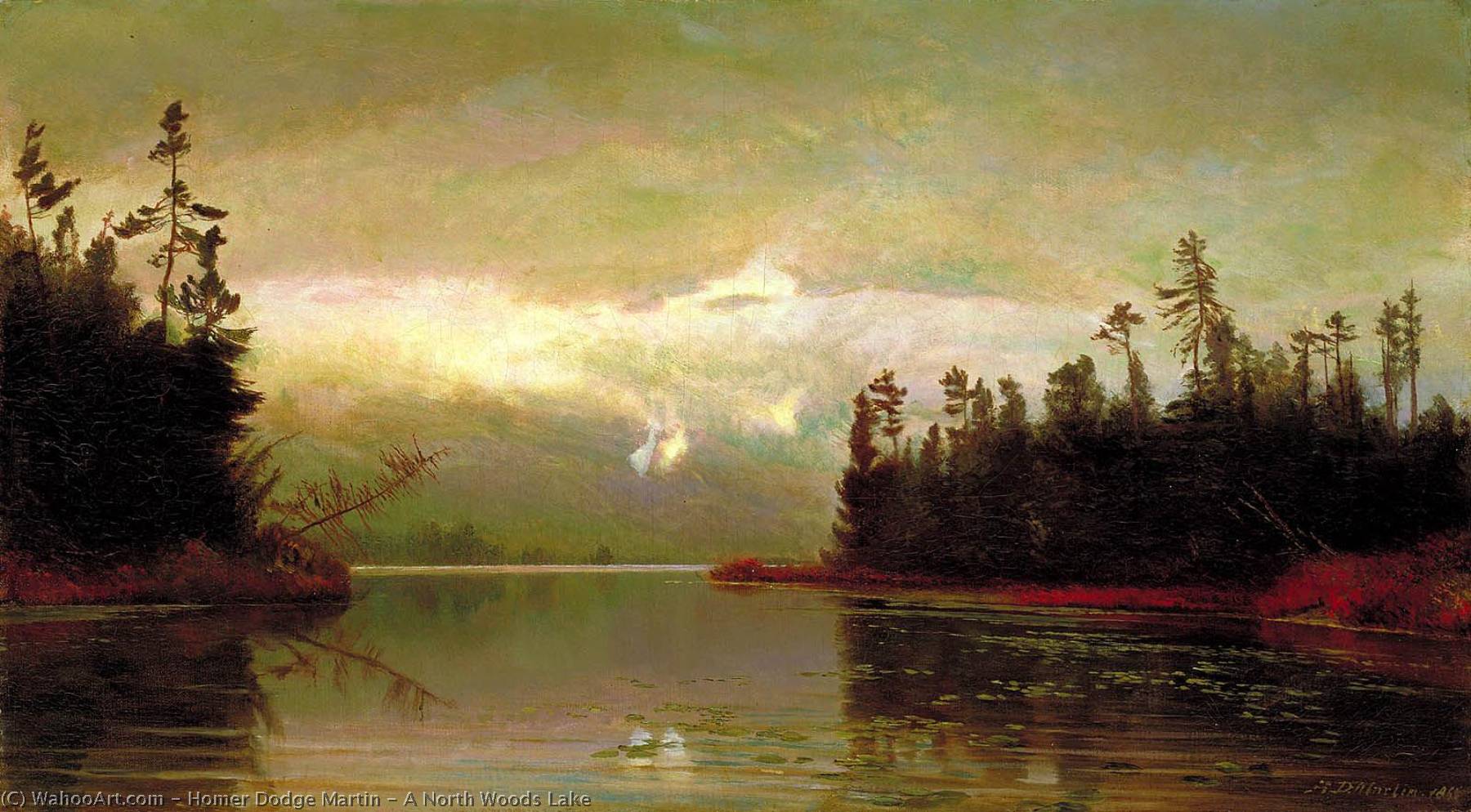 A North Woods Lake — Homer Dodge Martin