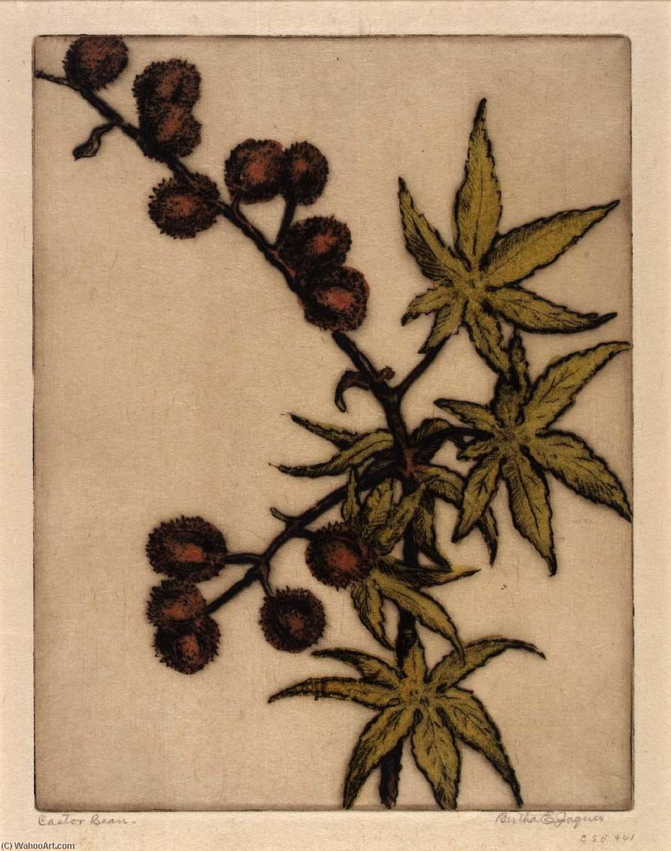 Castor Bean — Bertha Evelyn Jaques