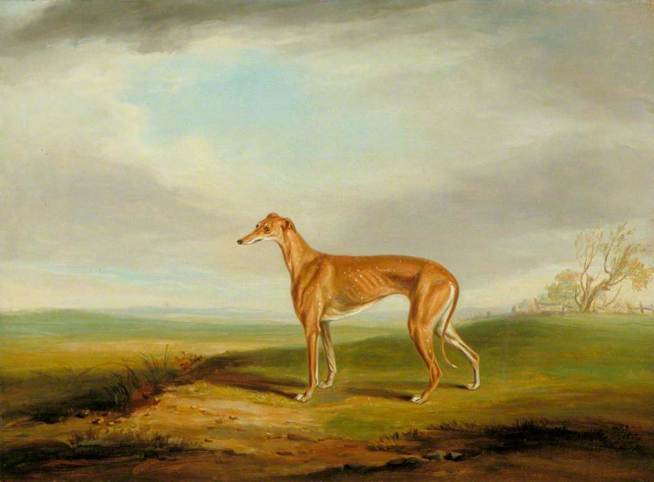 Greyhound — Уильям Генри Дэвис