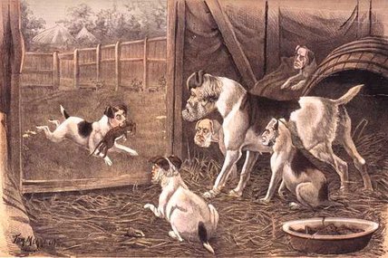 A Credit To His Family — Tom Merry (william Mecham)
