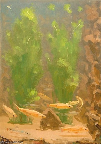 Gold Fish — Герит Вилем Дијселхоф