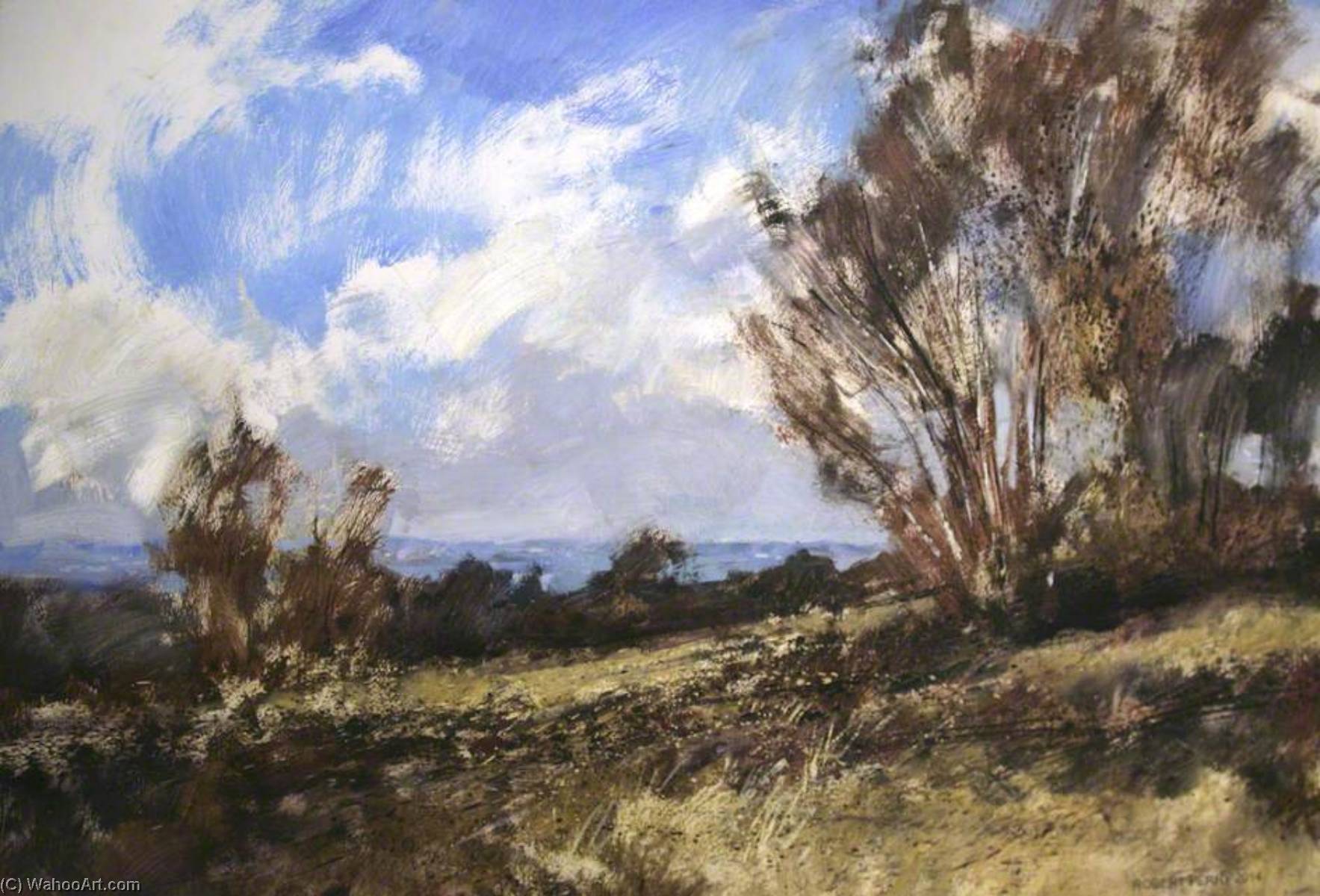 View Near The Glacial Boulder, Cannock Chase — Robert Perry