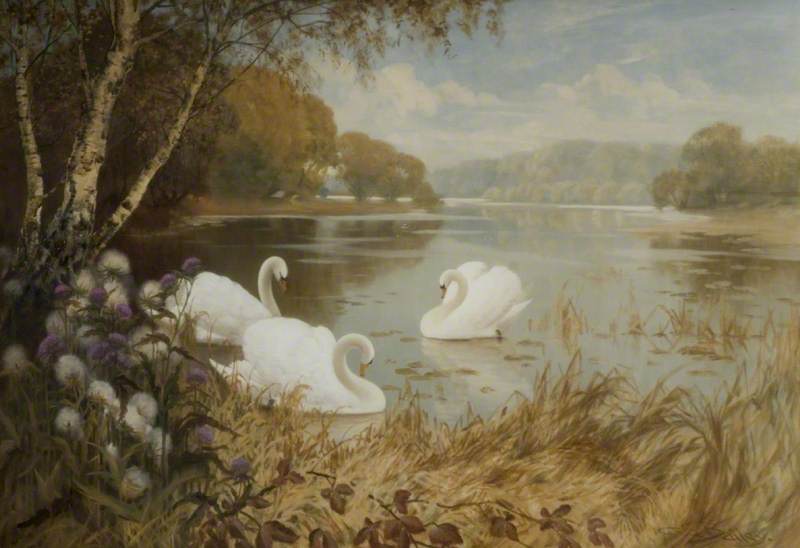 Landscape, Lake With Swans — Albert Edward Bailey