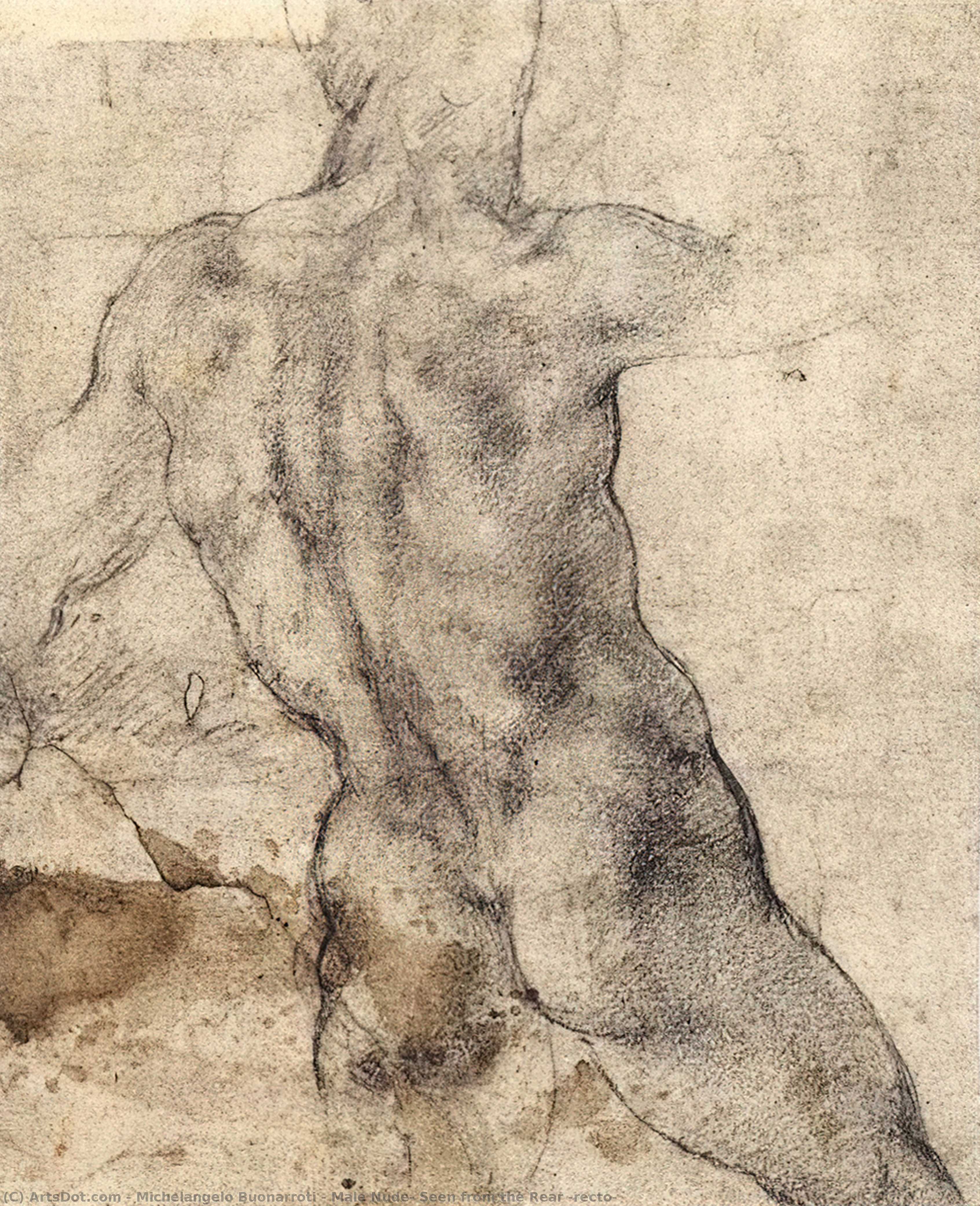 Male Nude, Seen From The Rear (recto) — Michelangelo Buonarroti