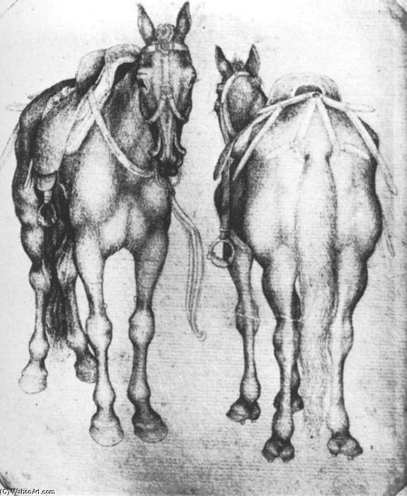 Horses. Pen On Paper. 20 X 16.5 Cm. Louvre Museum, Paris — Pisanello