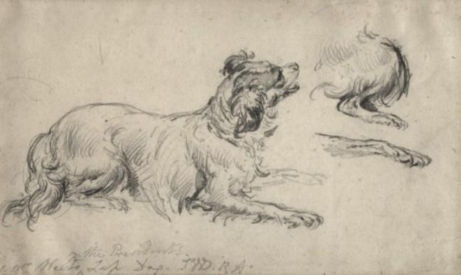 Mr West's The President's Lap Dog — James Ward
