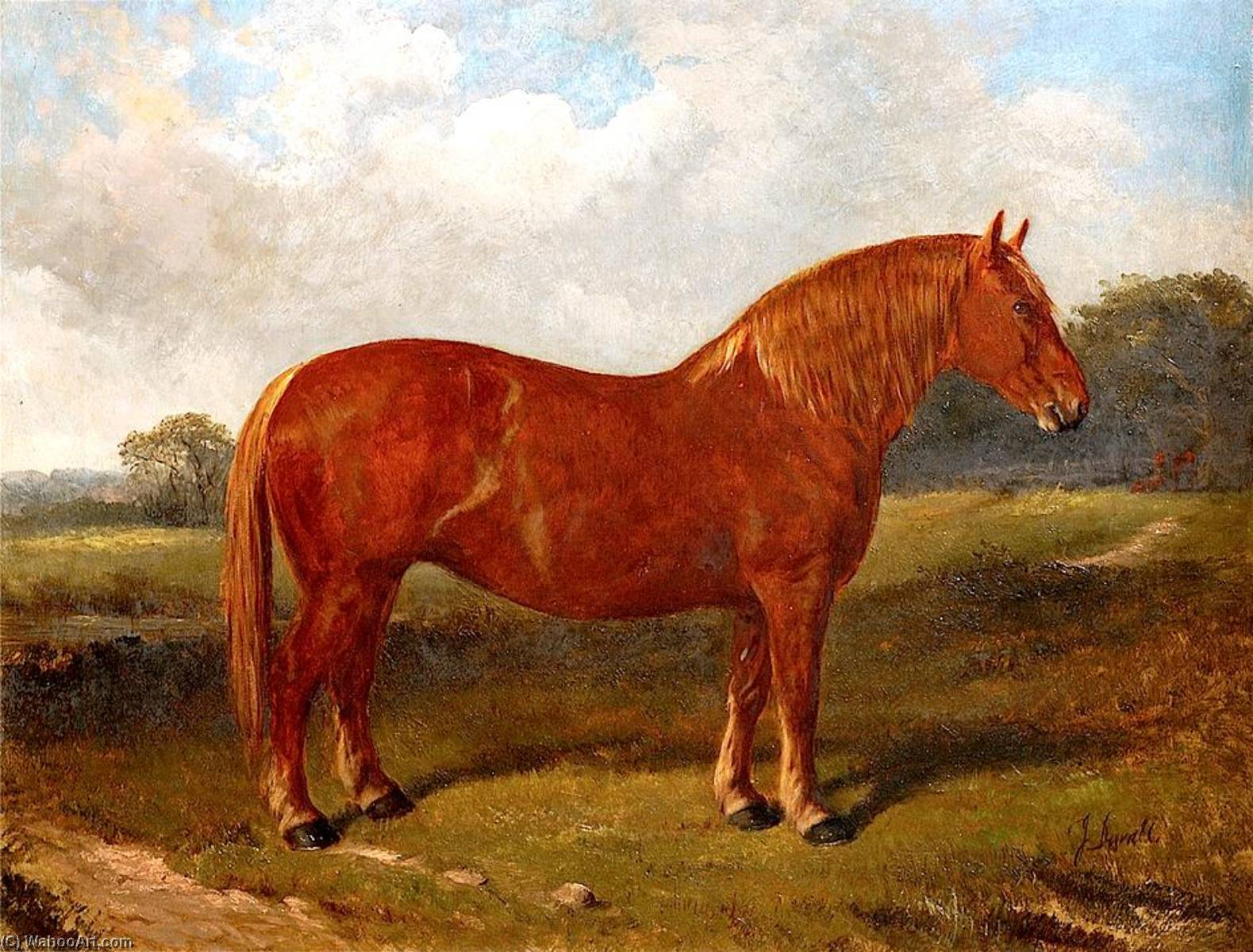 Duchess — John Duval