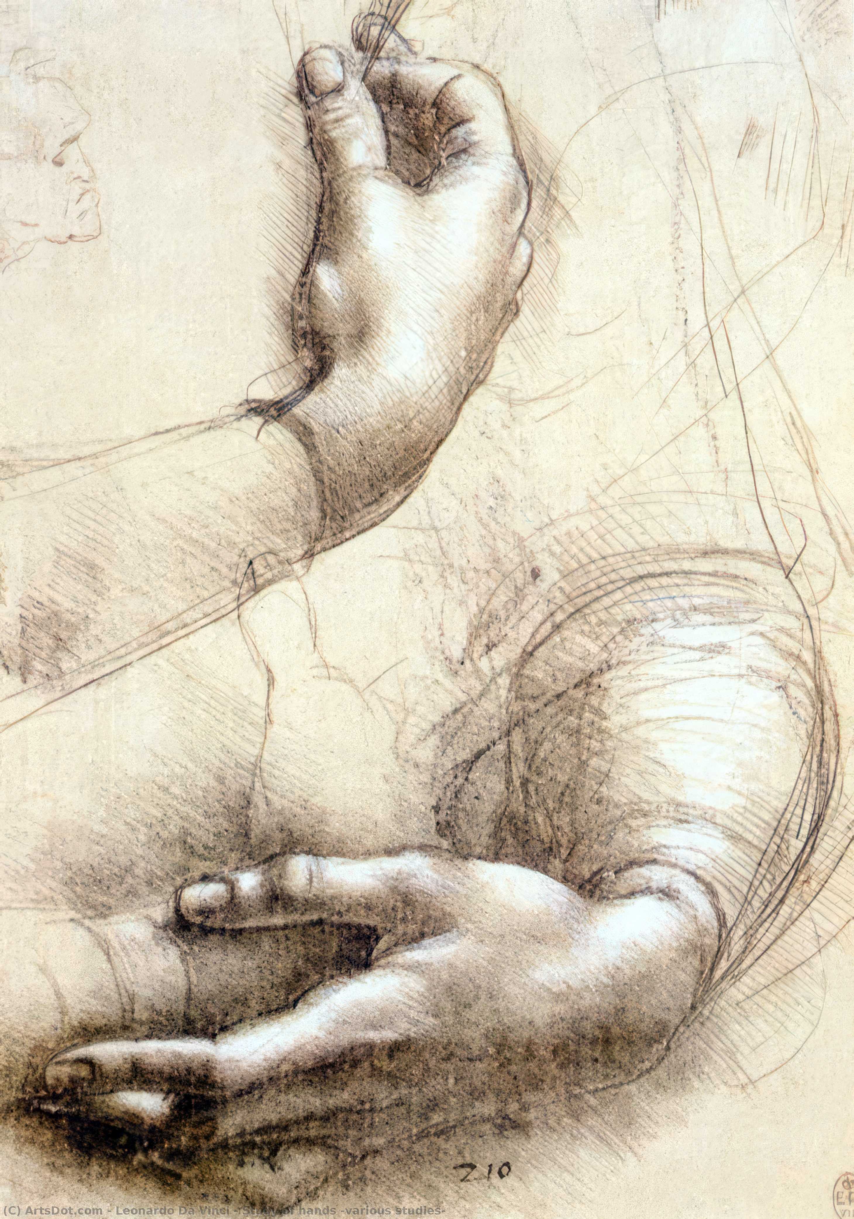 Studija Ruke (različiti Skici) Leonardoa Da Vincija — Leonardo Da Vinči
