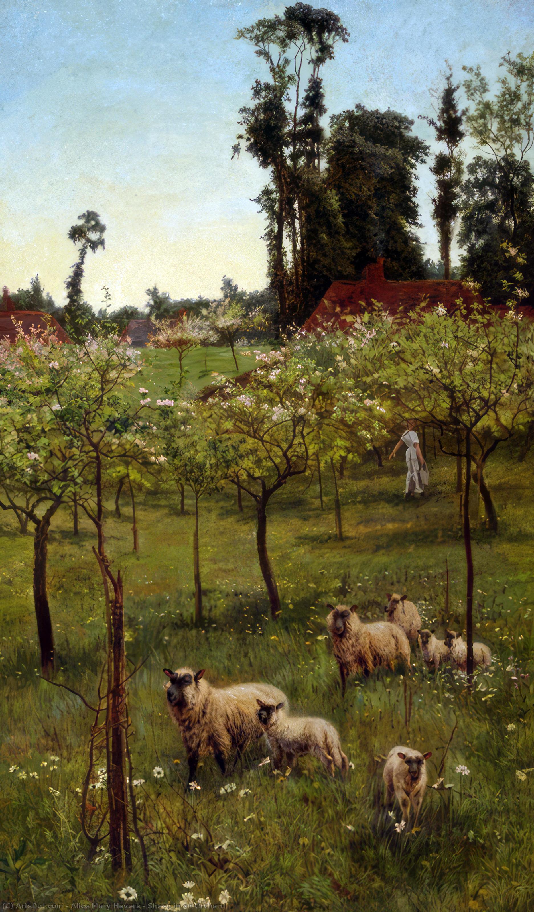 Sheep In An Orchard — Alice Mary Havers