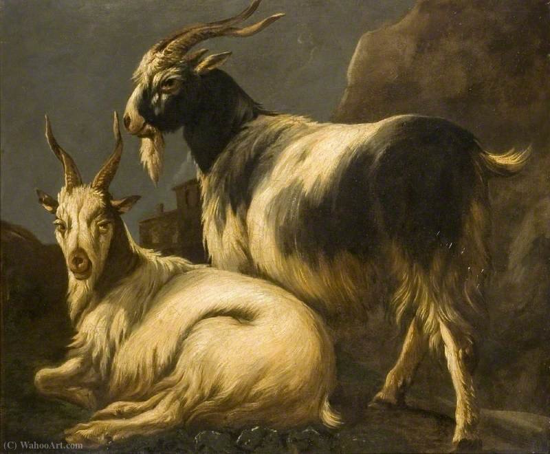 Study Of Goats — Philipp Peter Roos