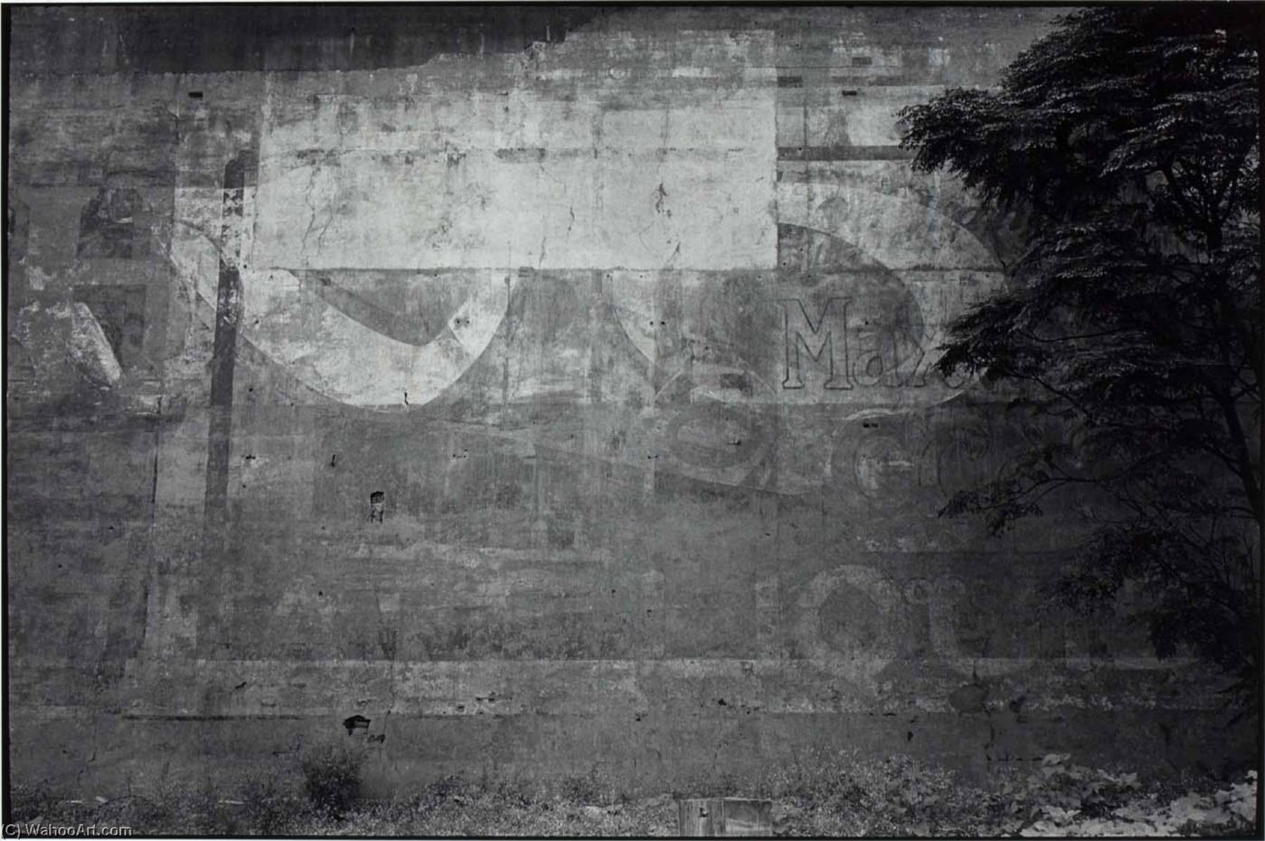 Untitled (wall) — Paul Hester