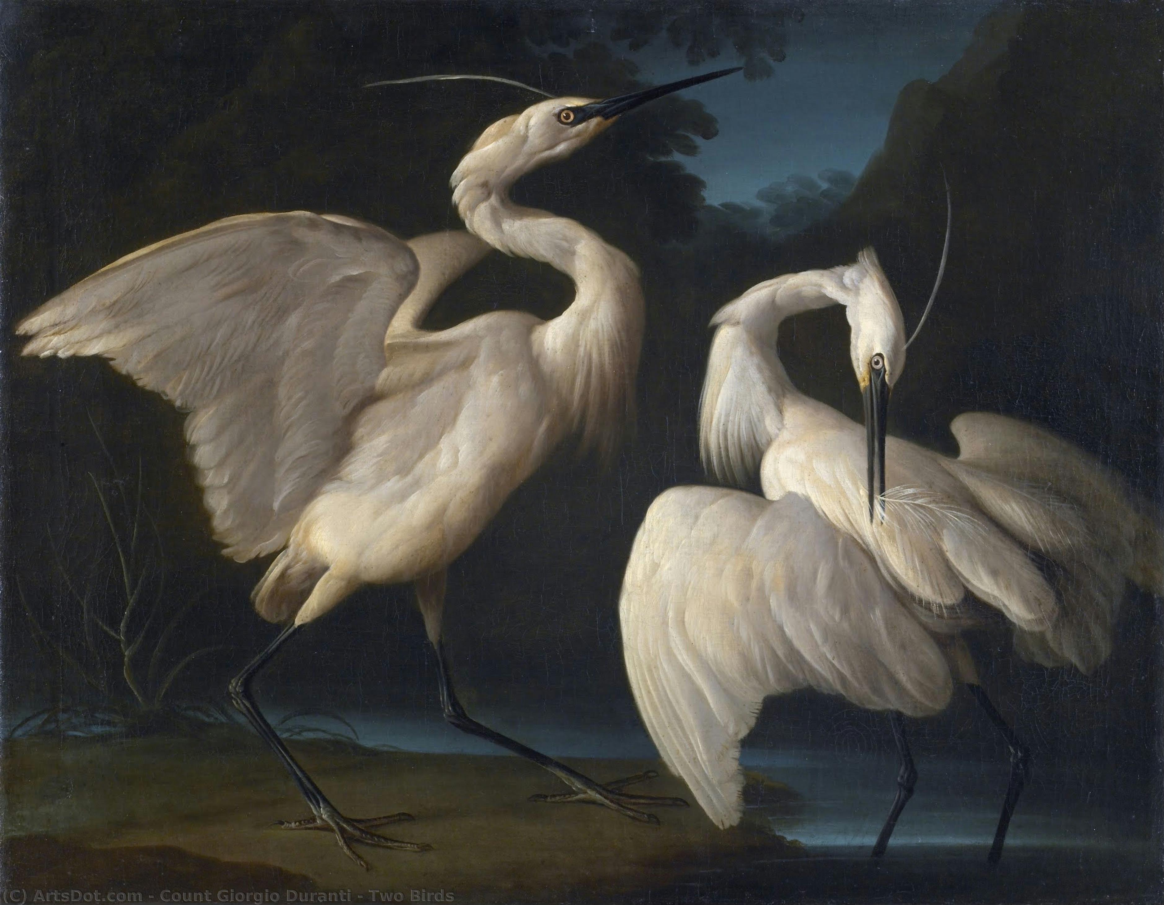 Two Birds — Count Giorgio Duranti