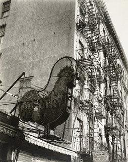 Poultry Shop, Lower East Side, New York City — Berenice Abbott