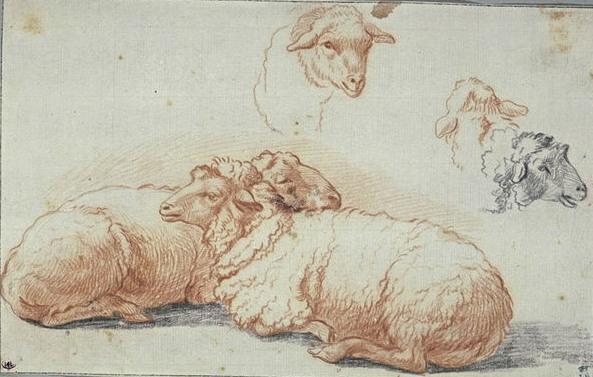 Two Sheep Lying Down, And Three Studies Of Heads Of Sheep — Nicolaes Pietersz Berchem