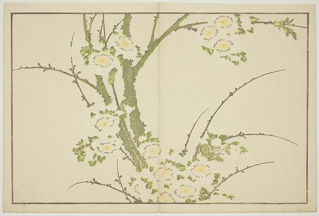 Flowers, From The Picture Book Of Realistic Paintings Of Hokusai — Katsushika Hokusai