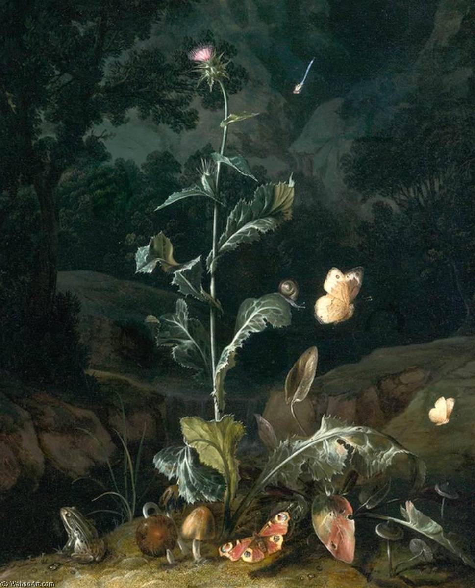 Nocturnal Forest Floor Still Life — Otto Marseus Van Schrieck