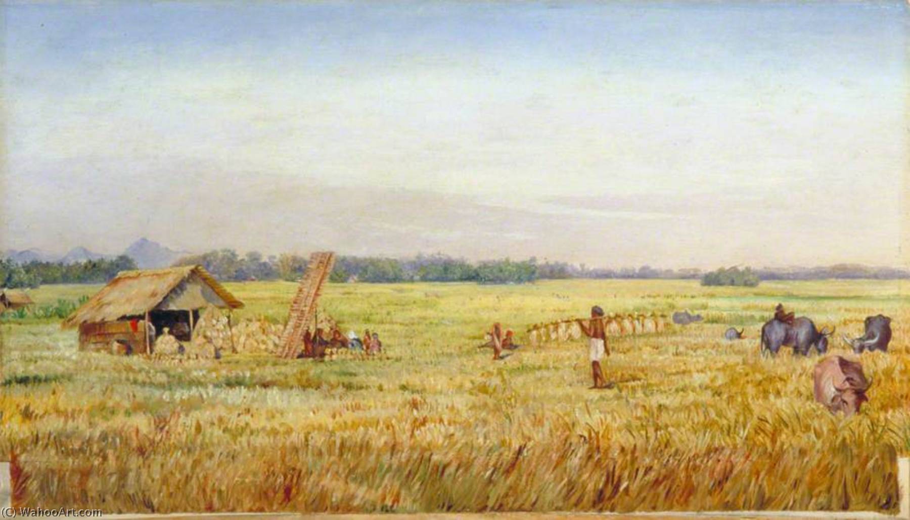 Rice Harvest Near Bandong, Java — Марианна Норт