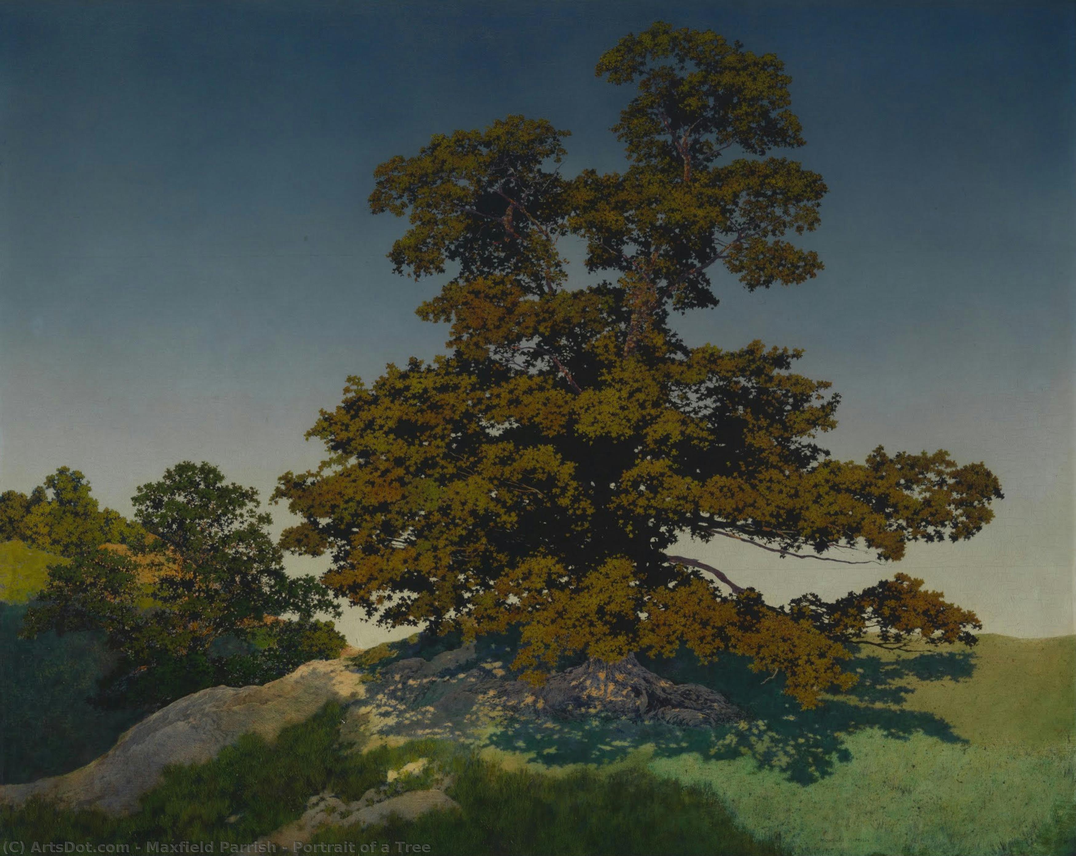 Portrait Of A Tree — Максилл Парриш